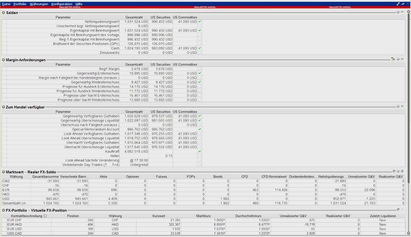 Screenshot der TWS-Finanzsoftwareanwendung mit Anzeige verschiedener Parameter und Statistiken des Anlageportfolios im Kontofenster.