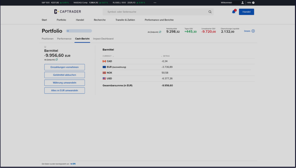 Ein Screenshot einer Finanzportfolioverwaltungsoberfläche im Kundenportal, der verschiedene Kontostände und Währungswerte zeigt.