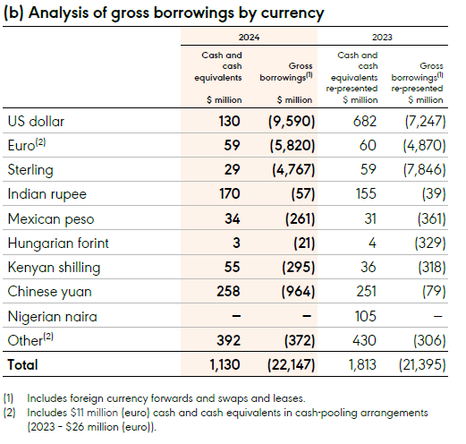 Table of gross borrowings by currency for 2023 and 2024, showing cash equivalents and borrowings in USD, euro, pound sterling and other currencies.
