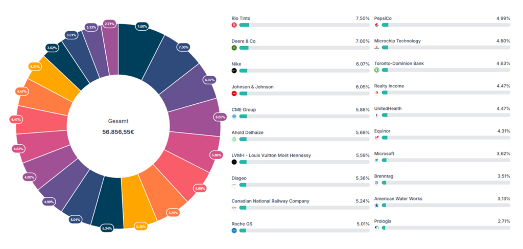 Colorful pie chart showing the percentage shares of various companies. A total amount of € 56,856.55 is shown in the middle, with the segments marked with the company name and the percentage share.